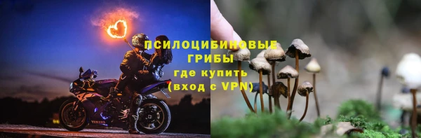 твердый Армянск