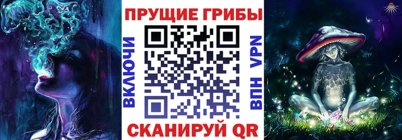 Псилоцибиновые грибы Psilocybe  мориарти телеграм  Медынь 